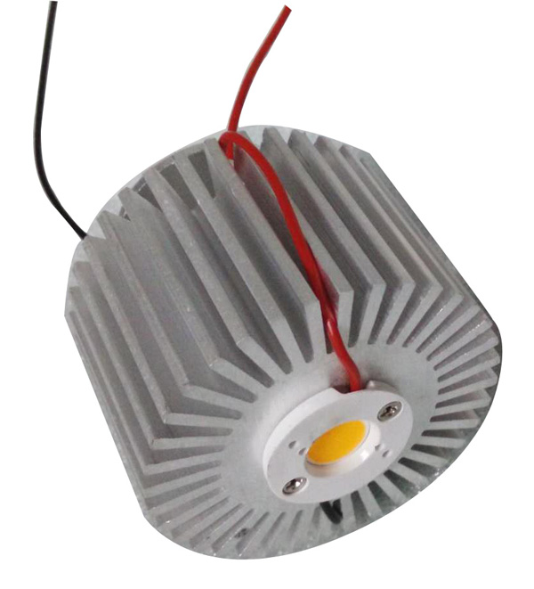 17W module 1 600.jpg