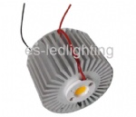 17W LED Module